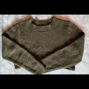 Wild Fable (Target) Fuzzy Crop Sweater